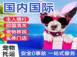 阆中古城机场空运国际宠物托运 【国
