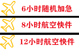 阆中古城机场空运快递公司,专业空运当天件